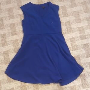 Ann Taylor Petite Dress